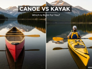 Canoe vs Kayak Which Is Best