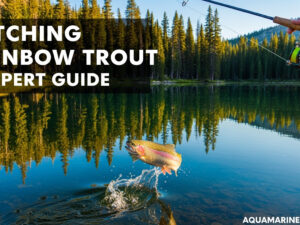 Catching Rainbow Trout