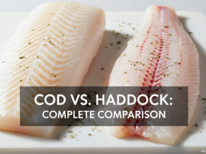 Cod vs. Haddock