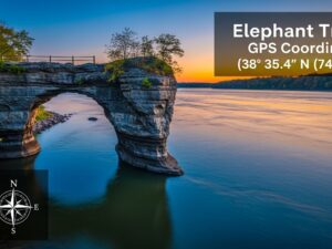 Elephant Trunk GPS Coordinates