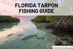 FLORIDA TARPON FISHING GUIDE