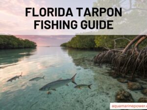 FLORIDA TARPON FISHING GUIDE