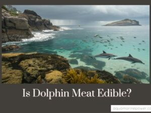 Is Dolphin Meat Edible?