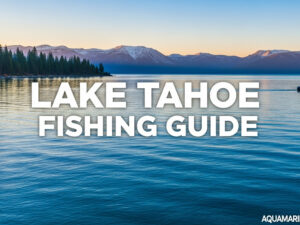 Lake Tahoe Fishing Guide