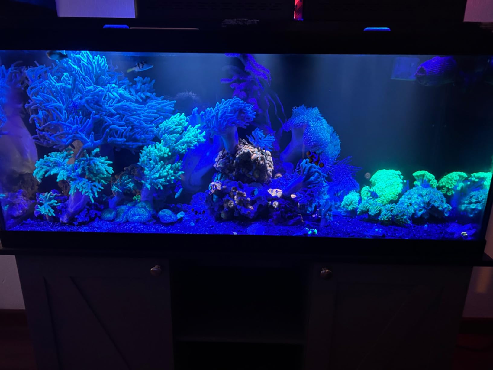 B07WT6QWP1 Customer Photo 2