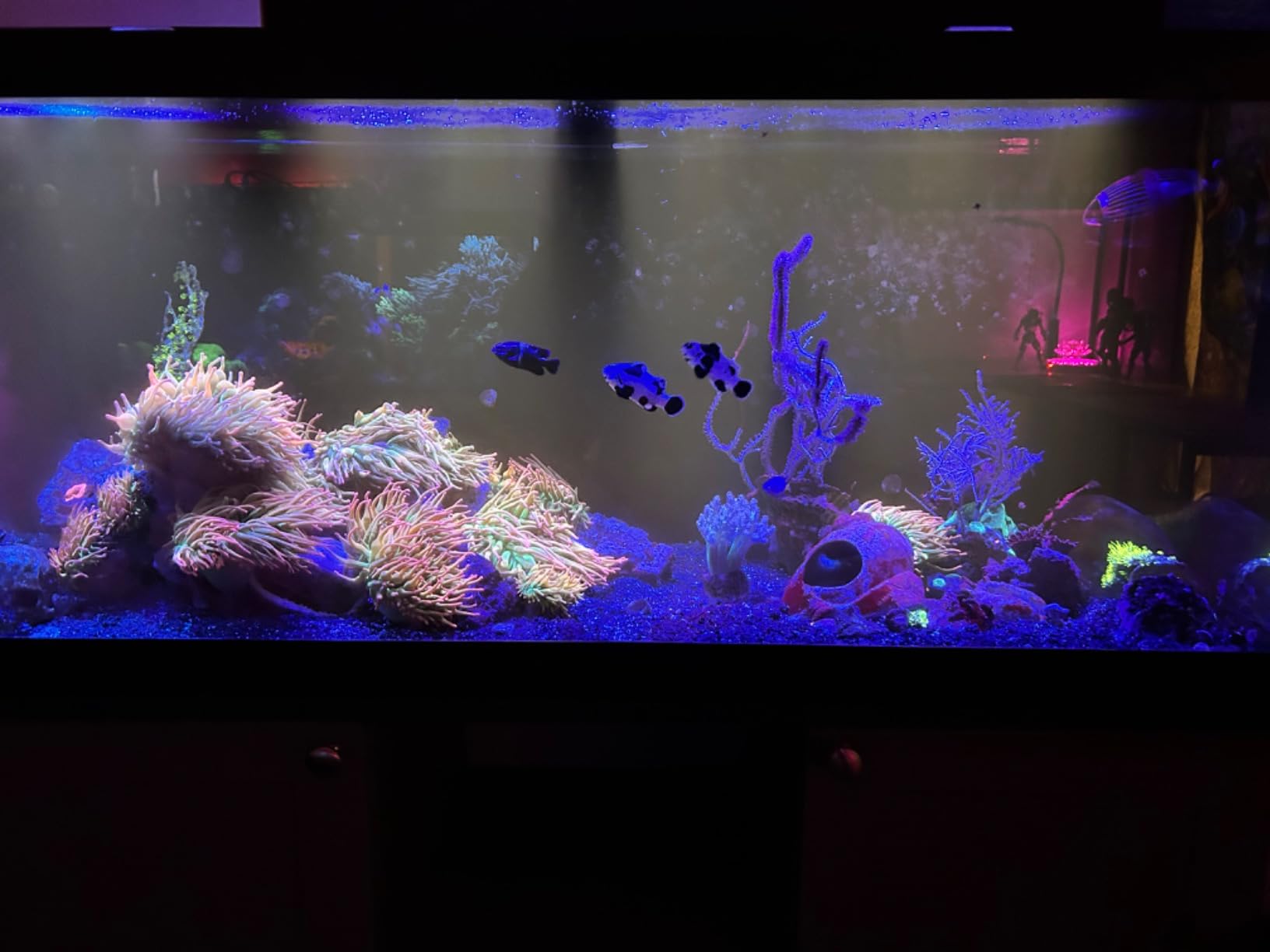 B07WT6QWP1 Customer Photo 3