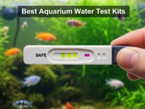 Best Aquarium Water Test Kits