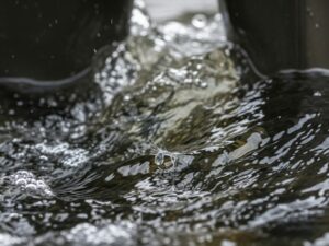 Best Fishing Waders