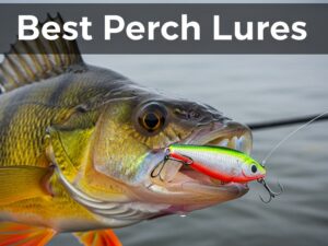 Best Perch Lures