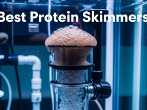 Best Protein Skimmers