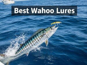 Best Wahoo Lures