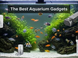 The Best Aquarium Gadgets