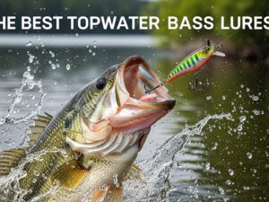 The Best Topwater Bass Lures