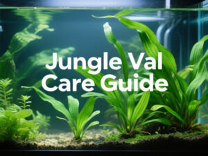 Jungle Val Care Guide