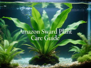 Amazon Sword Plant Care Guide