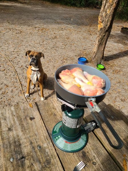 Coleman Bottletop Propane Stove, 7,650 BTU Camping Cooker customer photo 1