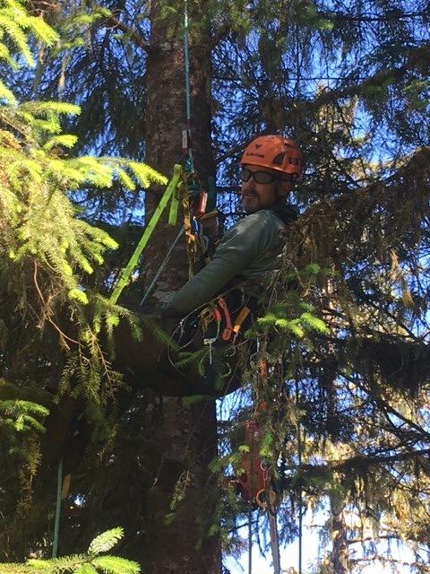 Fusion Climb Meka II Climbing and Zipline Safety Helmet, 6.25-Inch H x 10.3-Inch L x 8.25-Inch W customer photo 1