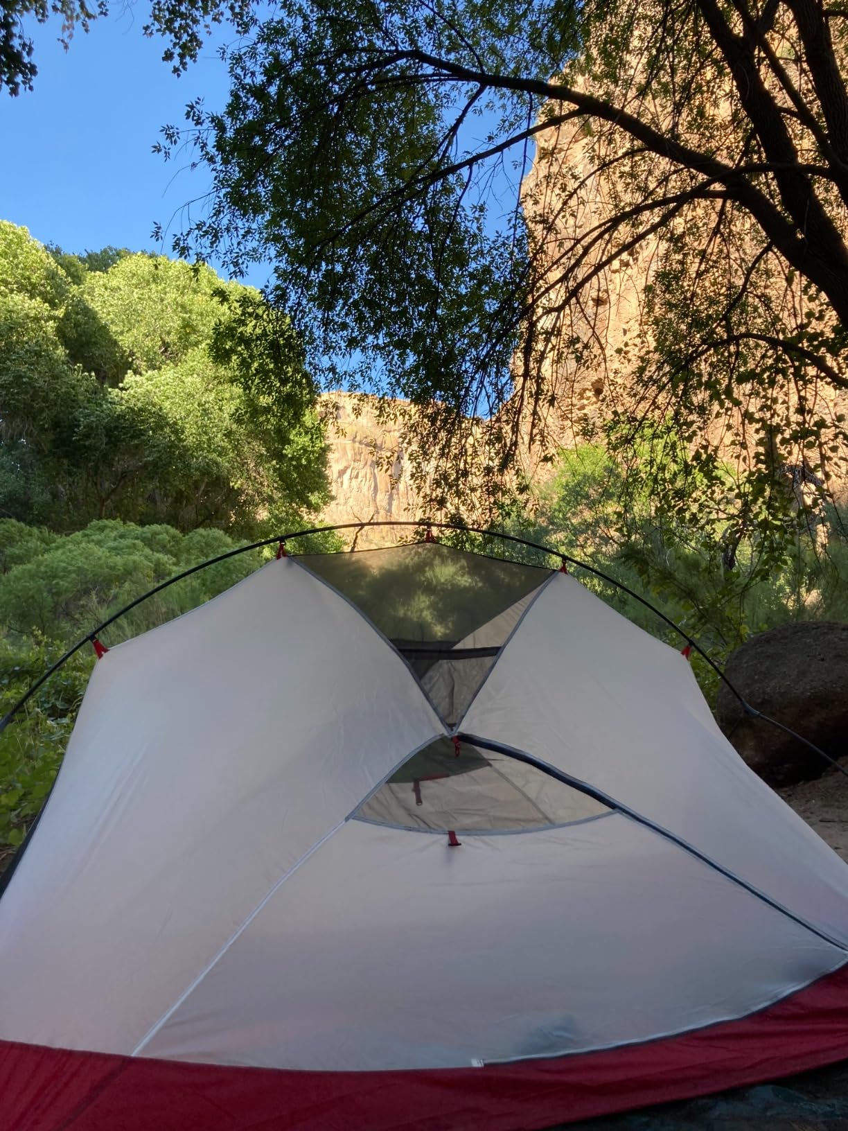 Amazon Basics Waterproof Multipurpose Camping Tarp with Reinforced Corners and Edges, Protective Cover, 9.5 x 11.3 Feet, Dark Green customer photo 2
