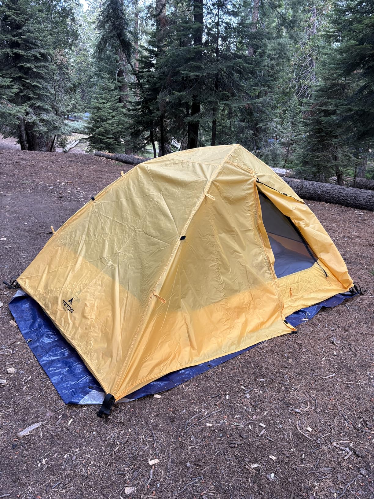 Teton Sports Vista Quick Tent; Dome Camping and Backpacking Tent; Easy Instant Setup; Clip-On Rainfly Included customer photo 2