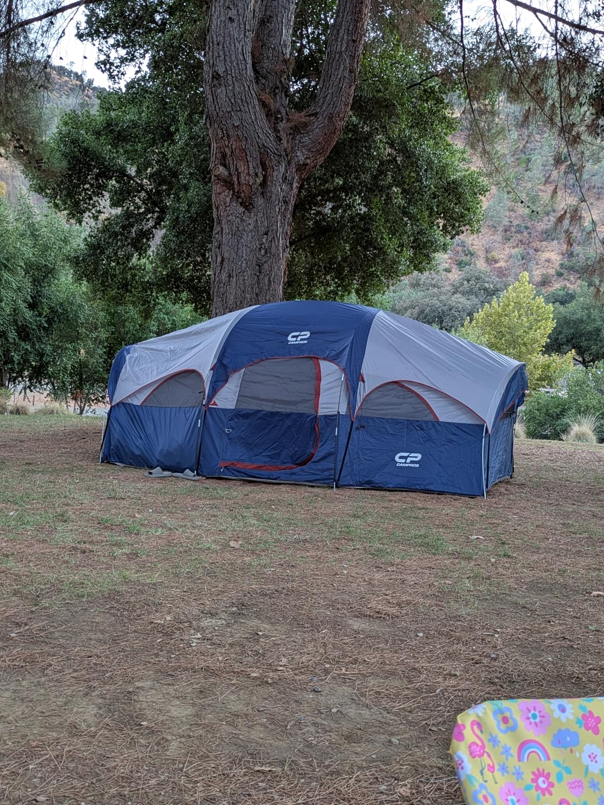 CAMPROS CP 8 Person Camping Tent, Room Divider, Rainfly, Weather Resistant customer photo 2
