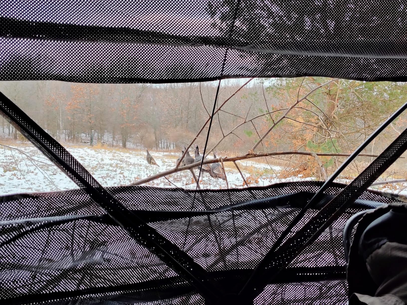 Hunting Blind 270/360 Degree See Through Ground Blind with Carrying Bag, 2/3/4 Person Pop Up Camouflage Tent Portable Concealed Shelter customer photo 2