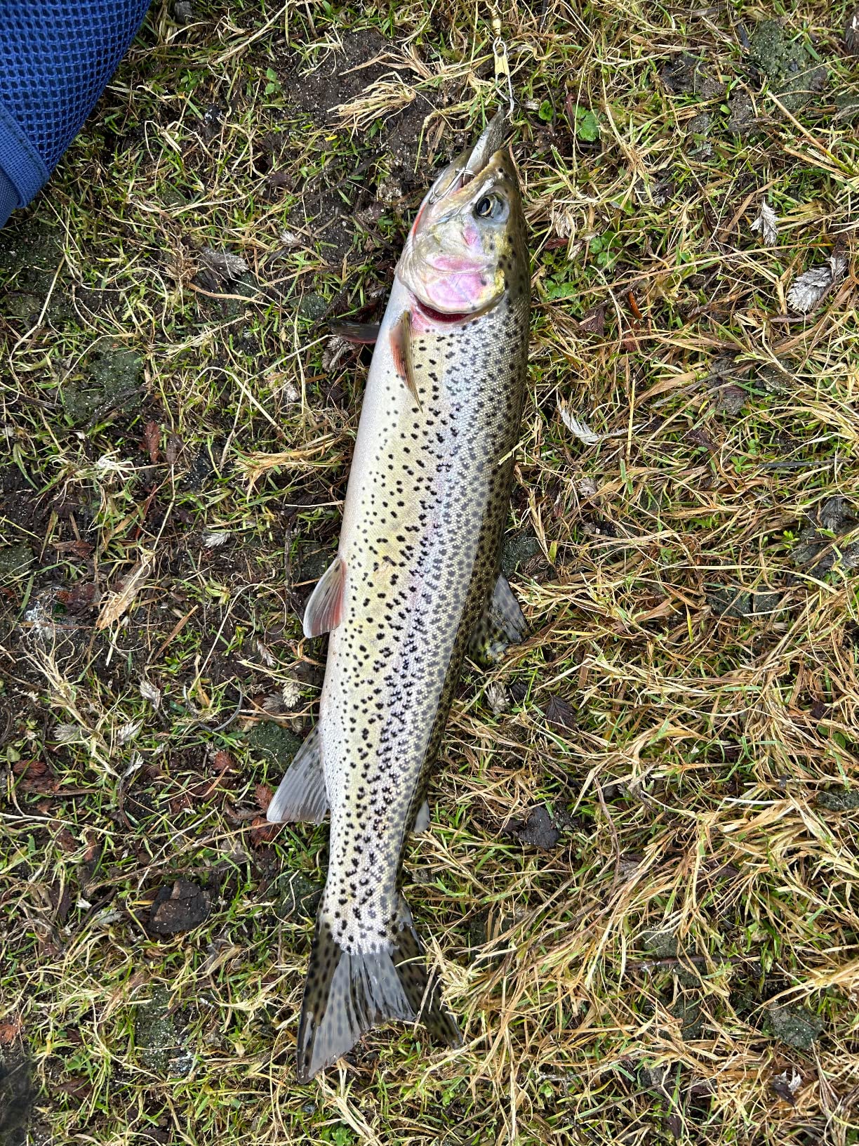 Acme Kastmaster Fishing Lure Hammered Gold 1 Oz customer photo 1