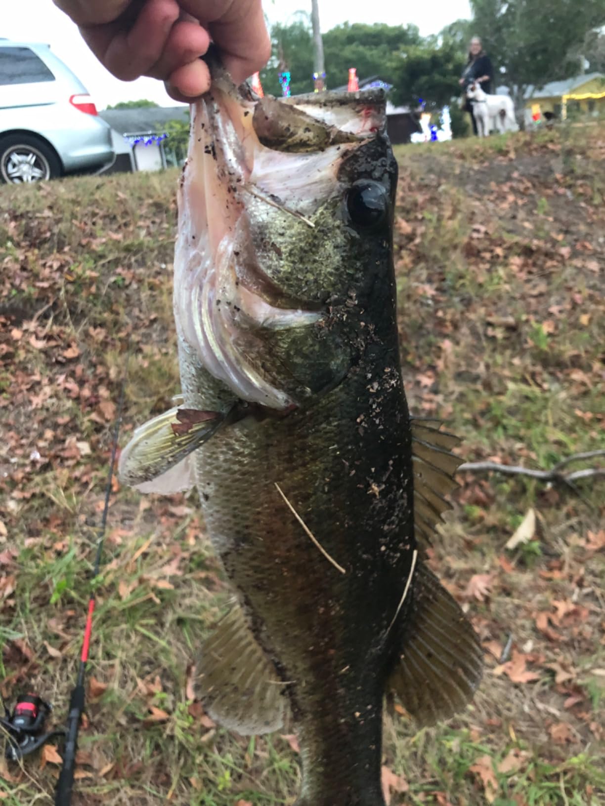 Strike King Bitsy Bug Mini Jig customer photo 1