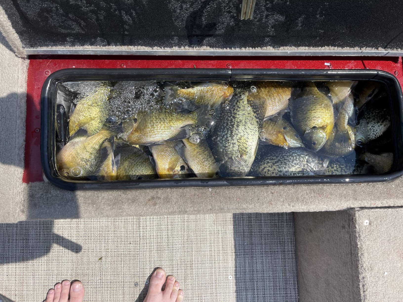 Rapala Original Floater 07 Fishing Lure customer photo 1