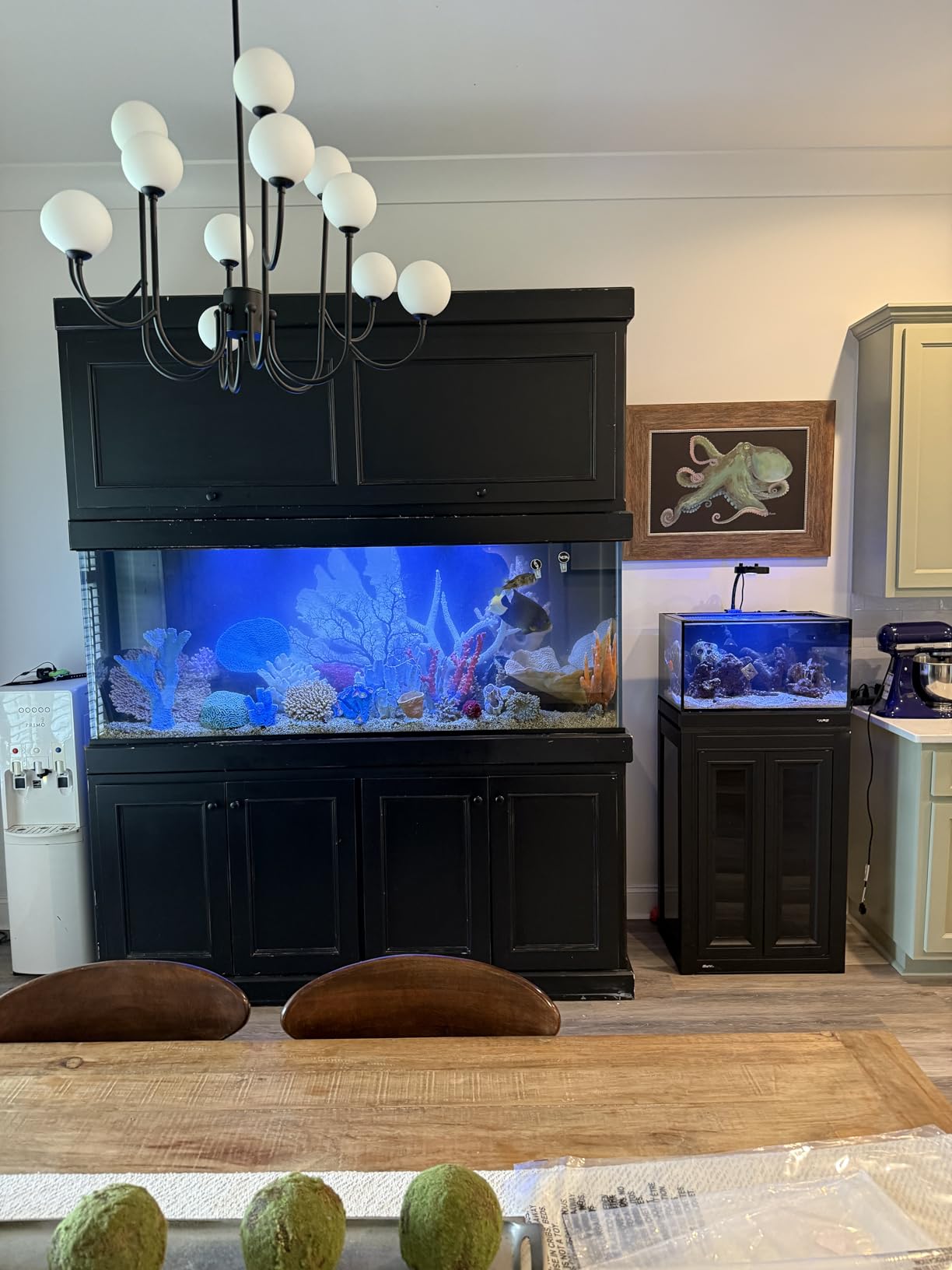 Instant Ocean Sea Salt for Marine Aquariums, 50 Gallon Mix customer photo 1