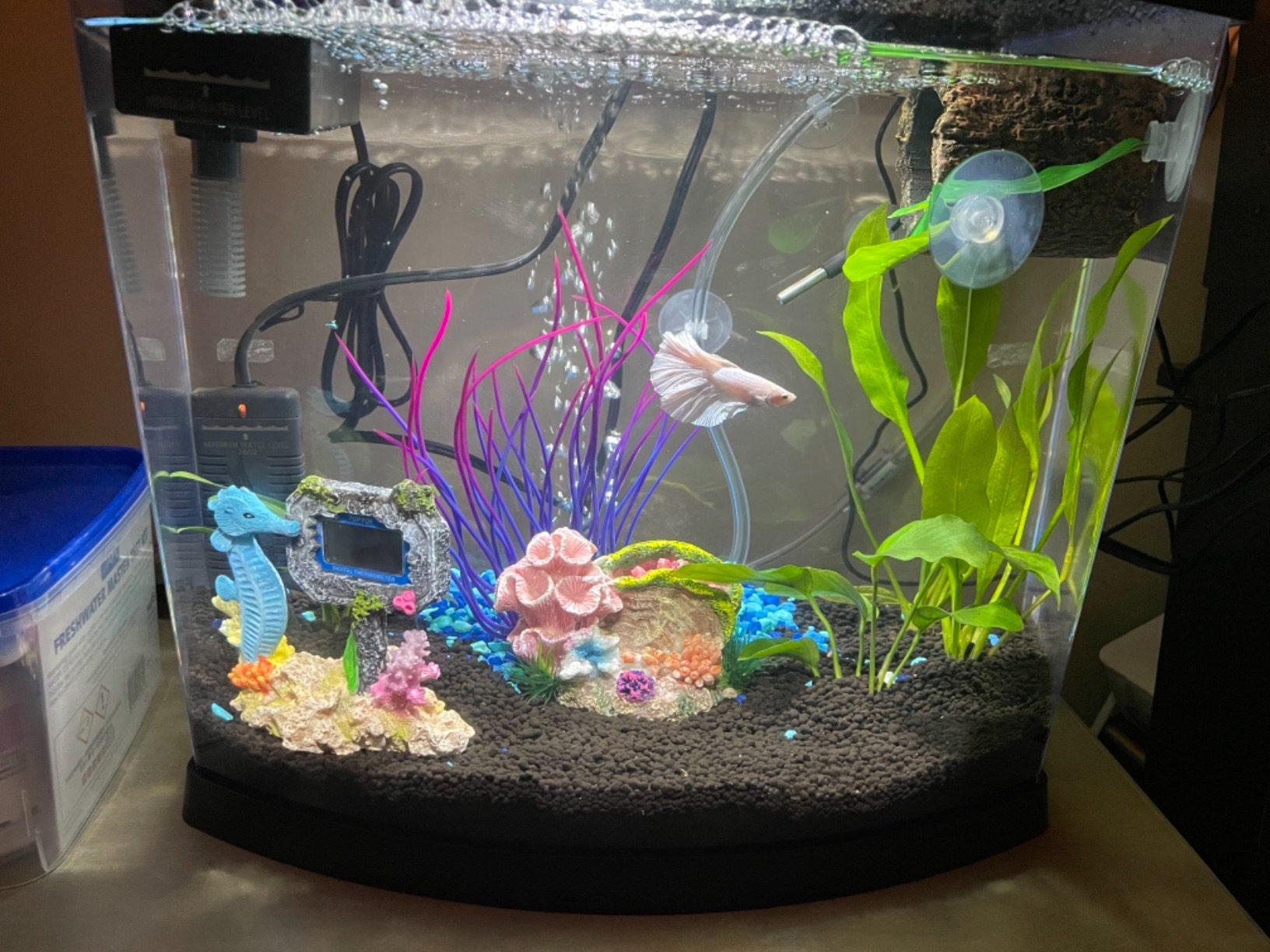 Seachem Prime Fresh and Saltwater Conditioner - Chemical Remover and Detoxifier 500 ml customer photo 2