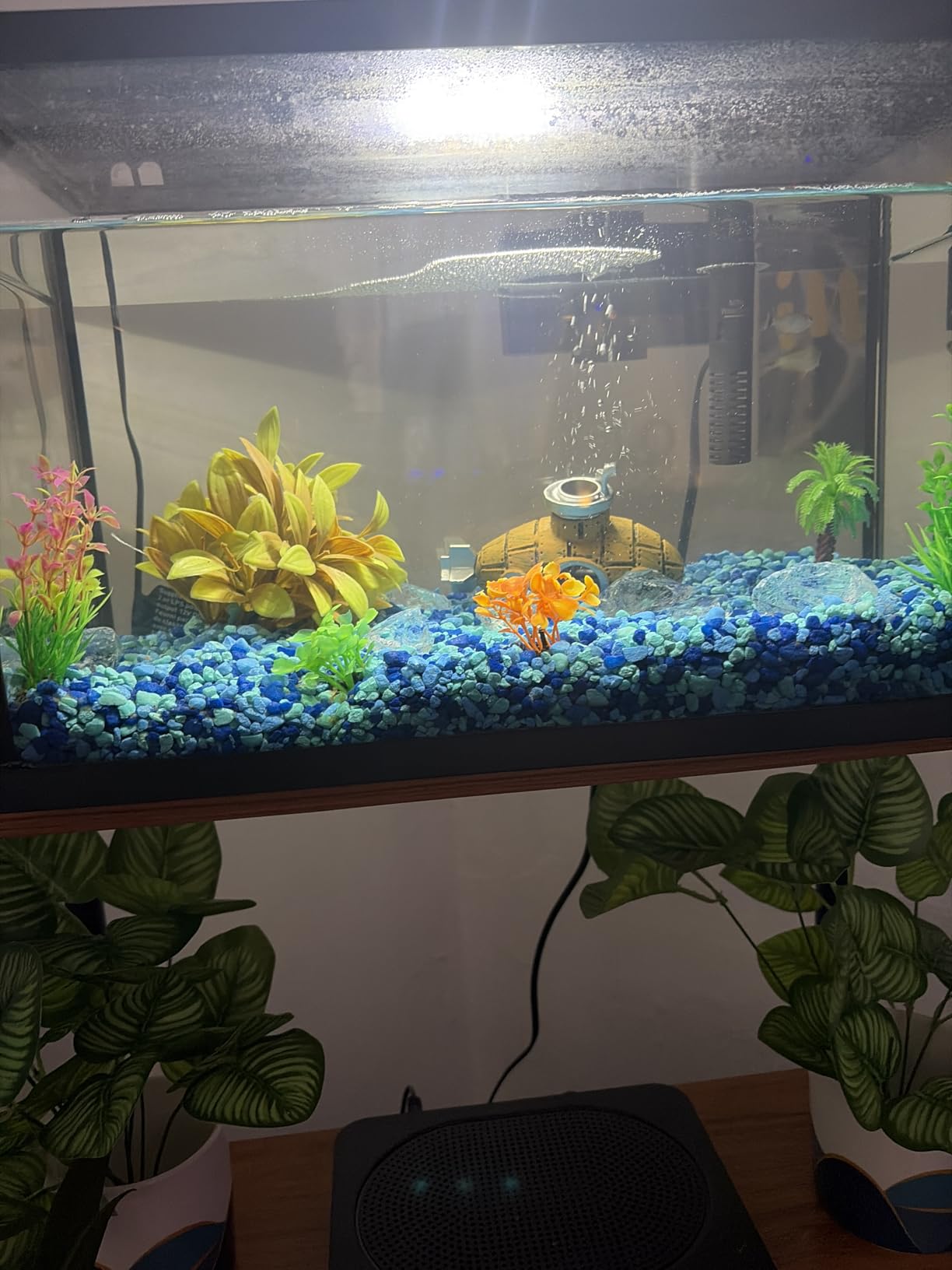 TetraMin Nutritionally Balanced Tropical Flake Food for Tropical Fish, 7.06 oz customer photo 1