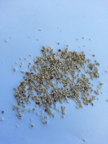 CaribSea Aragonite Reef Sand for Aquarium, 40-Pound customer photo 2