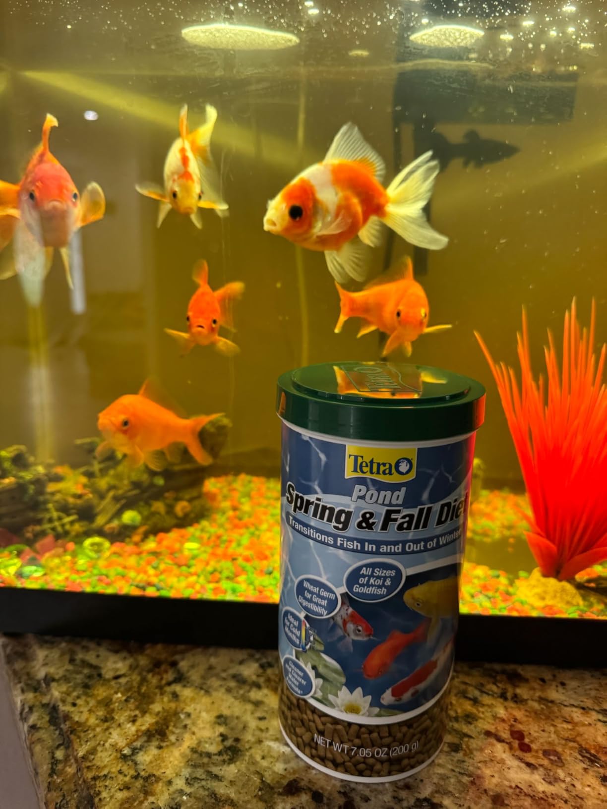 TetraPond Spring And Fall Diet 3.08 Pounds, Pond Fish Food, For Goldfish And Koi customer photo 1