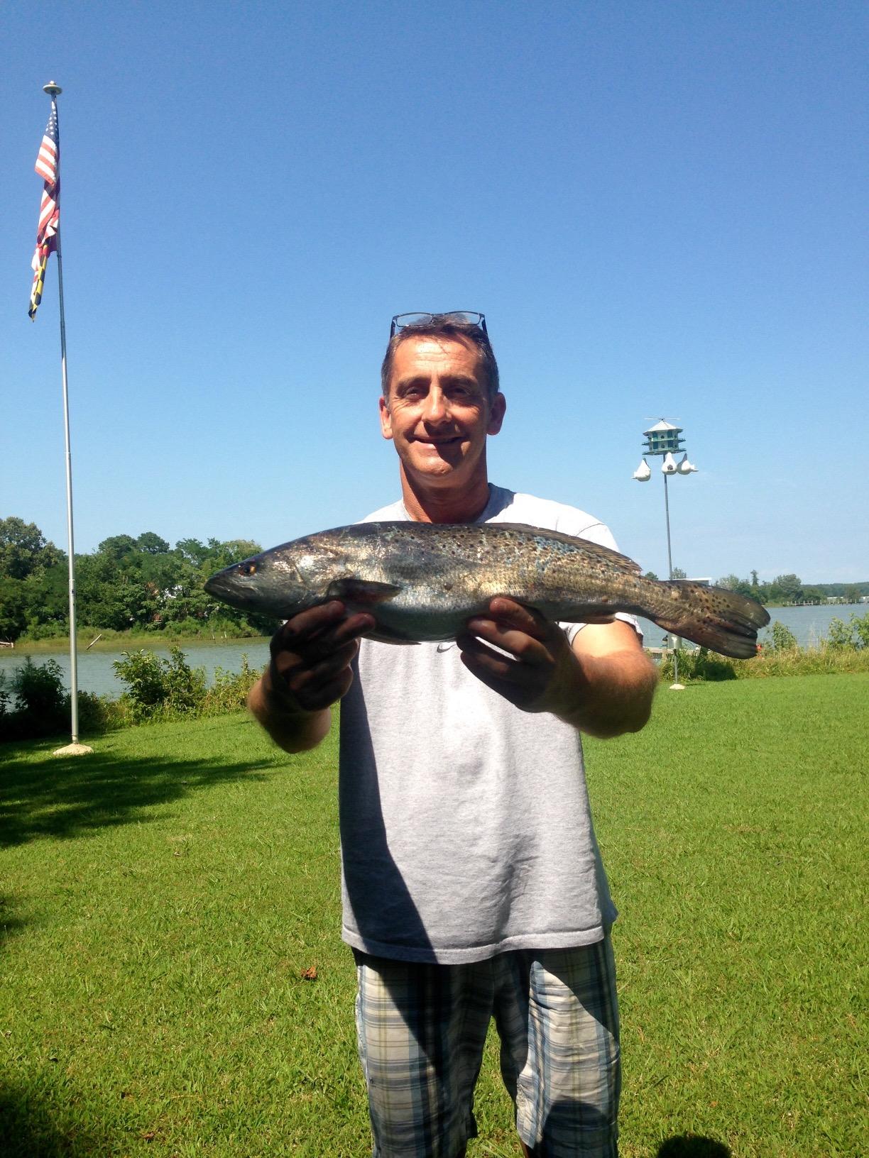 DOA Doa Cal 2 Shad Tail Soft Plastic Bait customer photo 1