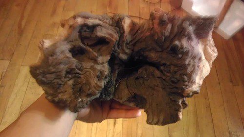 Zoo Med Mopani Wood Terrarium Accents Medium customer photo 1