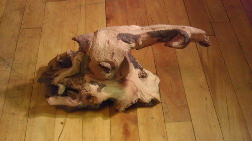 Zoo Med Mopani Wood Terrarium Accents Medium customer photo 2