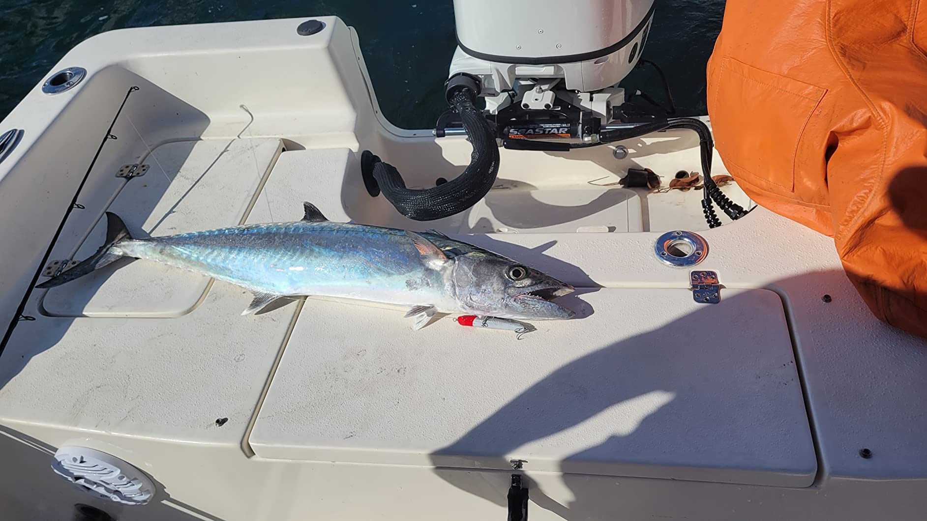 Heddon Super Spook Jr Topwater Fishing Lure for Saltwater and Freshwater, Red Head customer photo 2