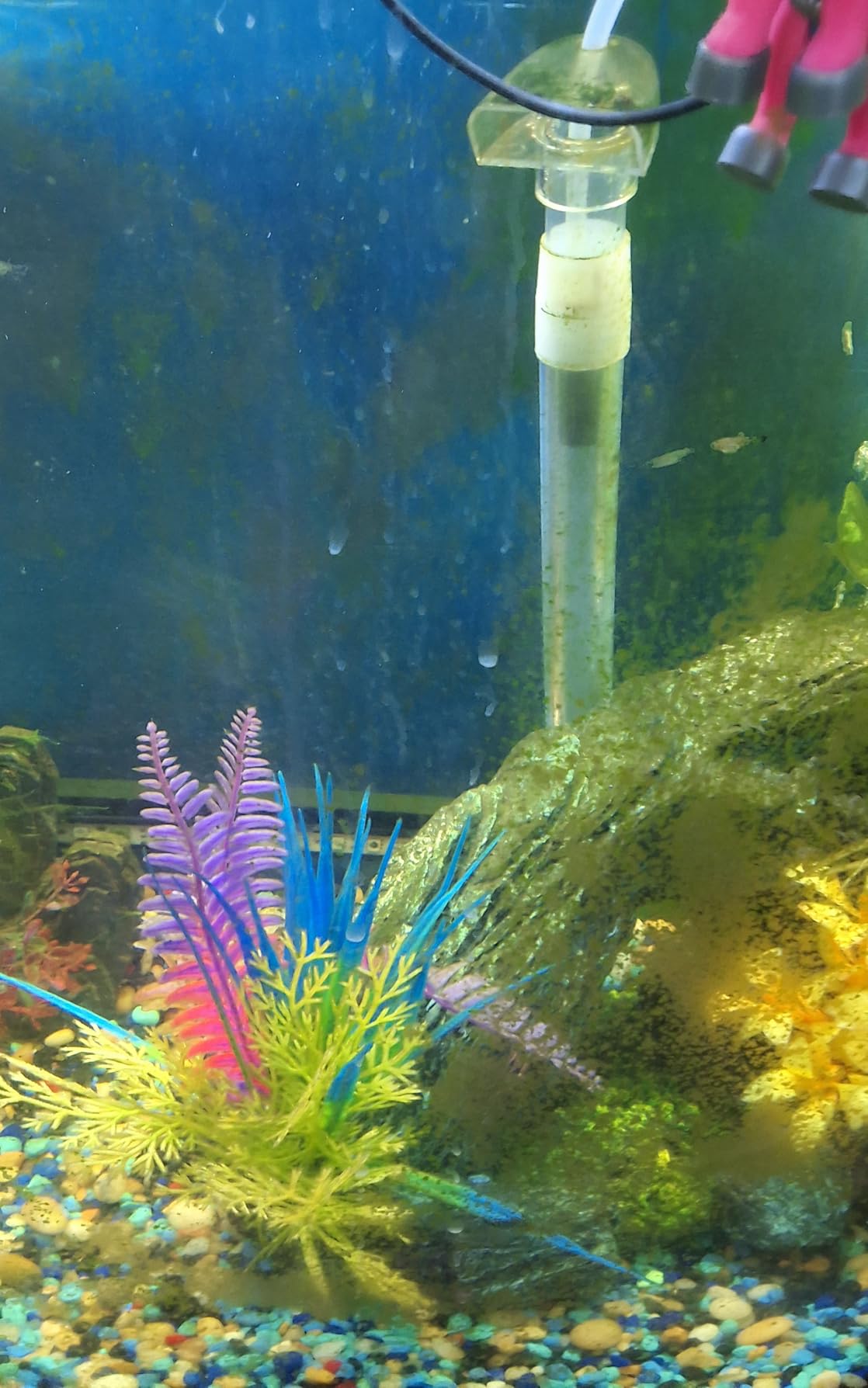 API AQUARIUM SALT Freshwater Aquarium Salt 65-Ounce Box customer photo 1