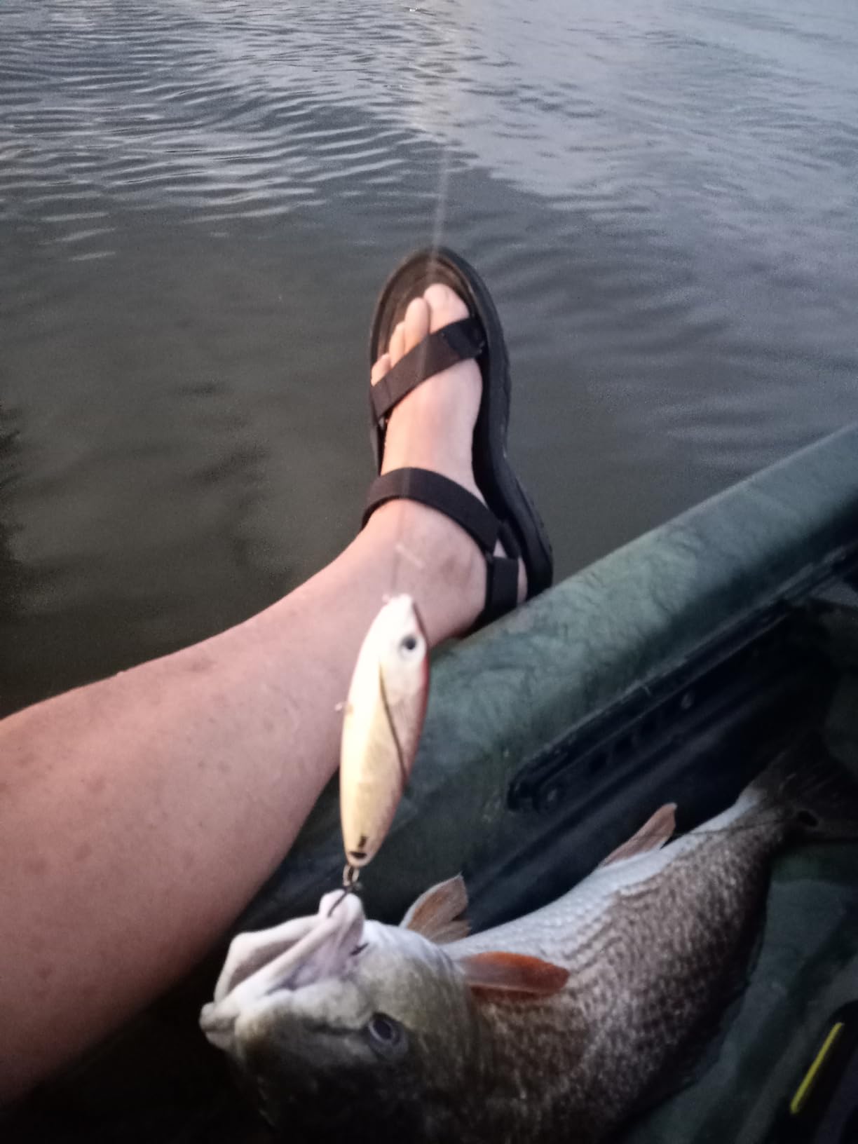 Rapala Saltwater Skitter Walk 11 Topwater Lure - 4-3/8 Inch customer photo 1