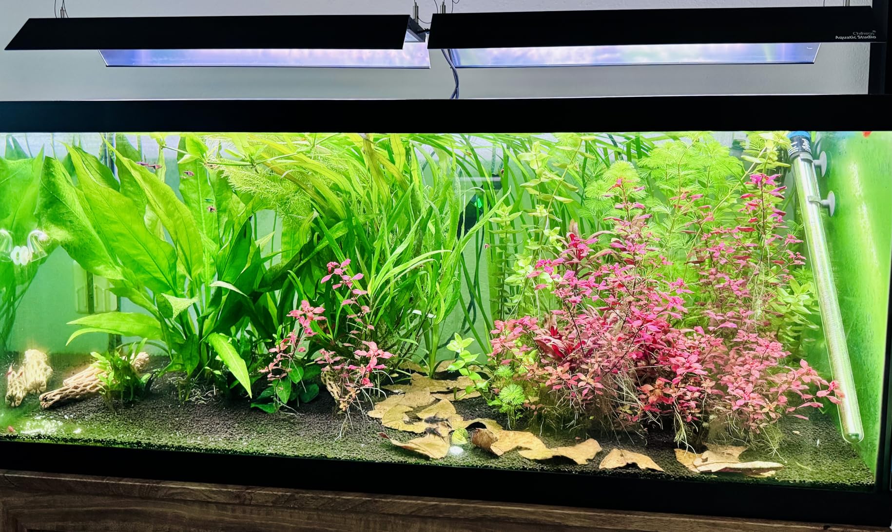 Seachem Flourish Nitrogen 500ml customer photo 1
