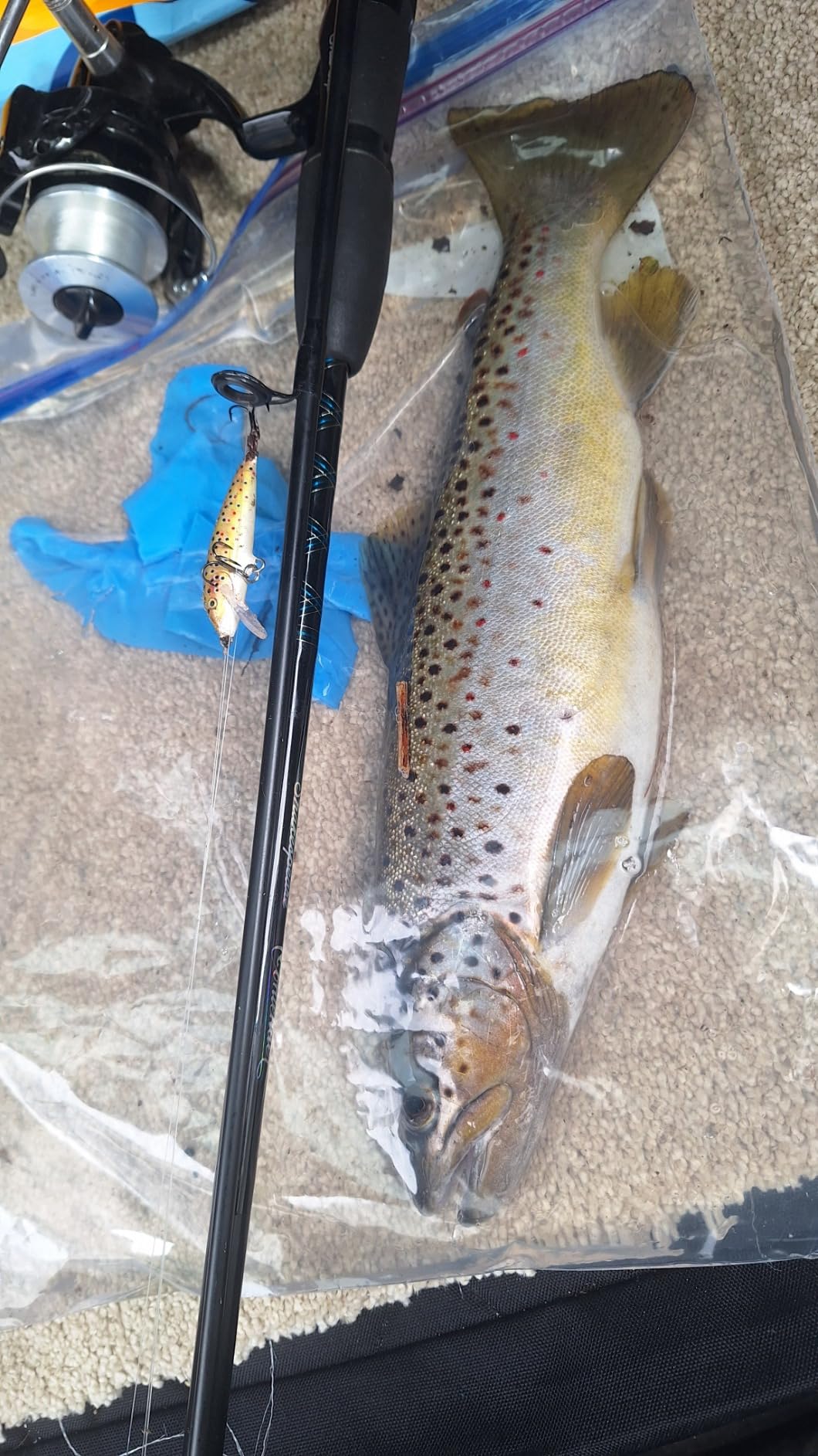 Rapala Countdown 3/16 Oz Fishing Lures customer photo 2