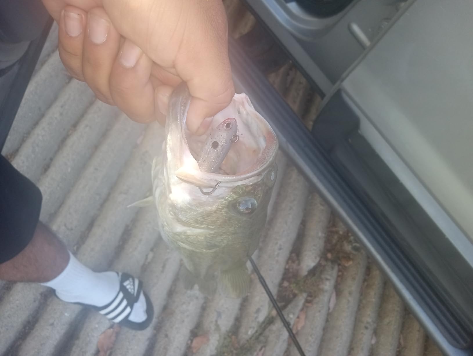 Storm WildEye Swim Shad 03 - Pre-Rigged Paddle Tail Swimbait customer photo 1