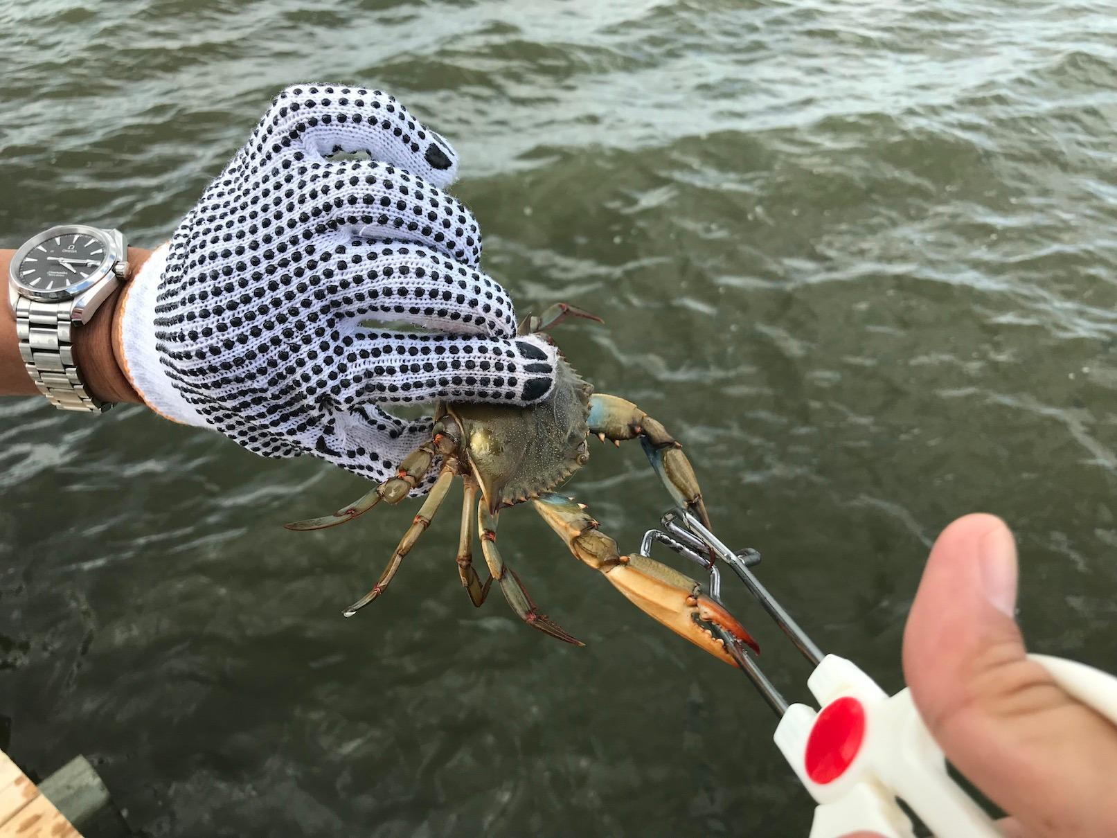 Angler's Choice CRK-6 Crabbin' Kit 6-Piece Hand Line Set customer photo 1
