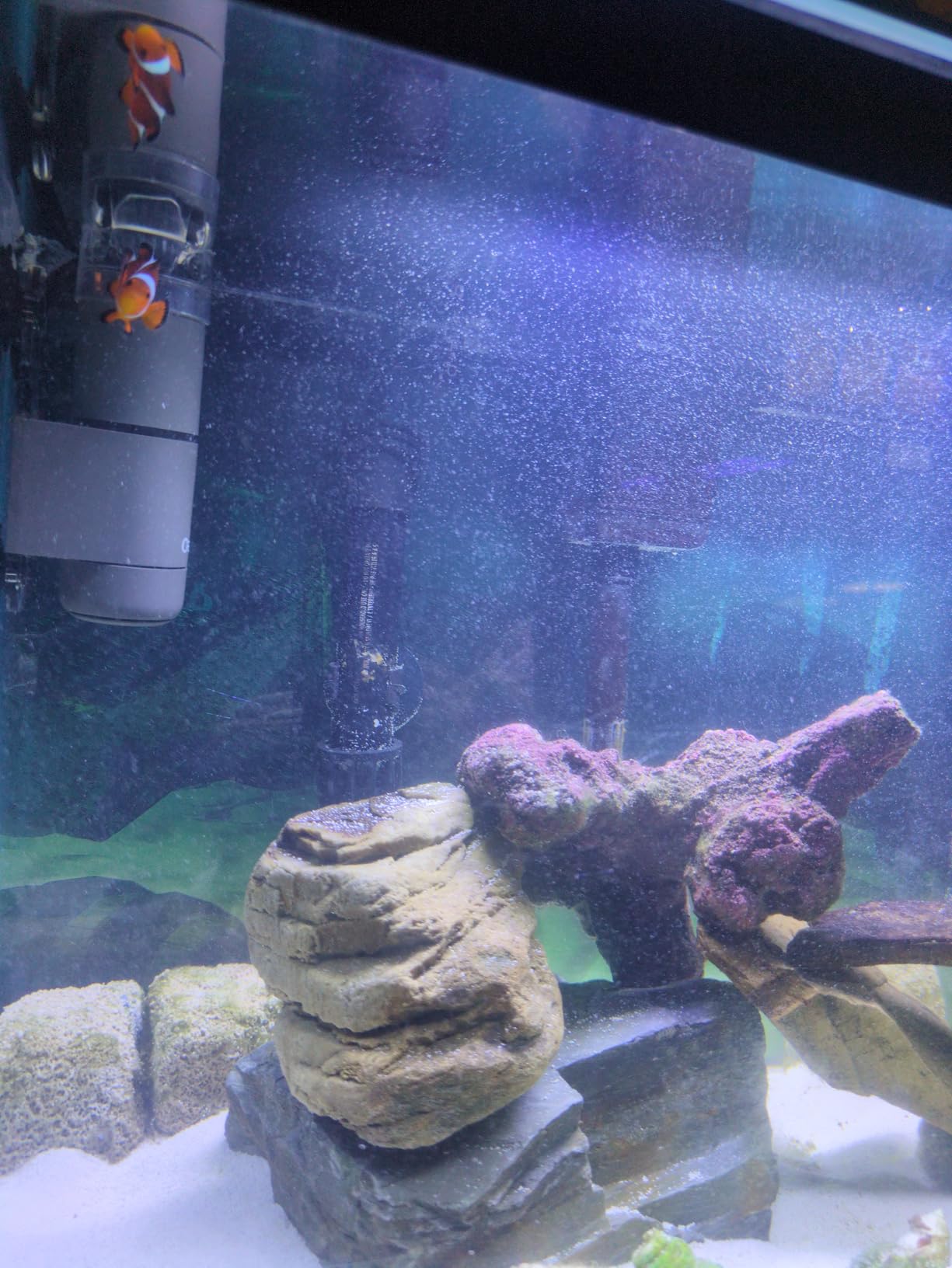 Fluval Sea PS1 Protein Skimmer for Aquarium, up to 45 Gallons customer photo 1