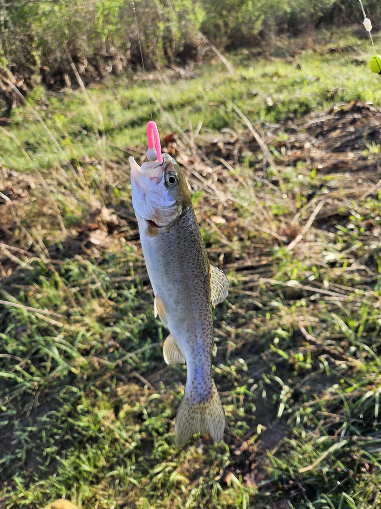Berkley PowerBait Floating Mice Tails customer photo 2