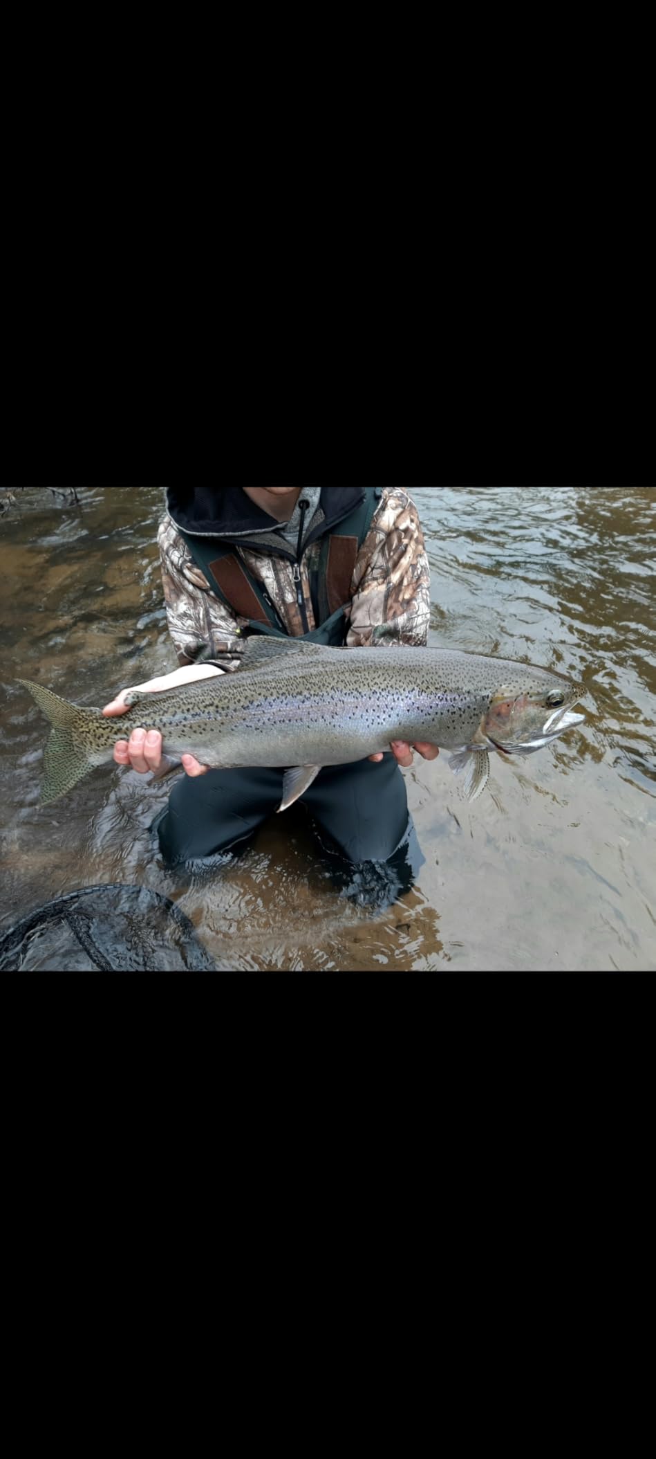 Seaguar STS Trout/Steelhead Freshwater 100% Fluorocarbon Fishing Line Leader customer photo 1