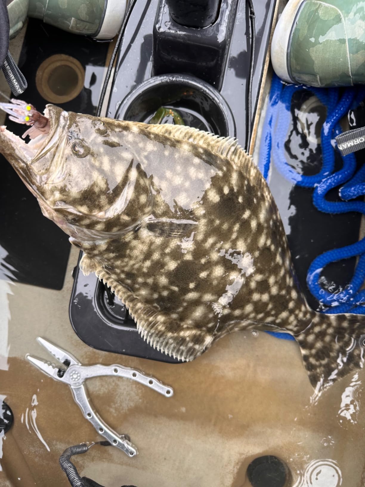 Egret Baits Vudu Shrimp - 2 Inch, 2 Pack with Jighead customer photo 2