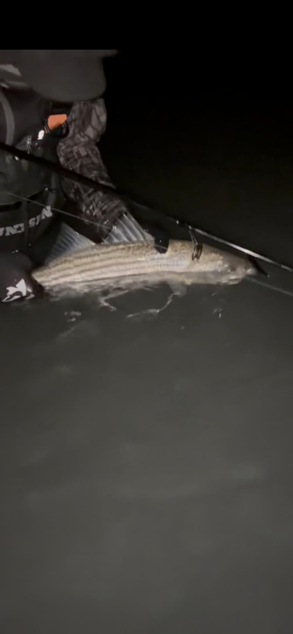 Yo-Zuri Pins Minnow Floating Diver Lure customer photo 1