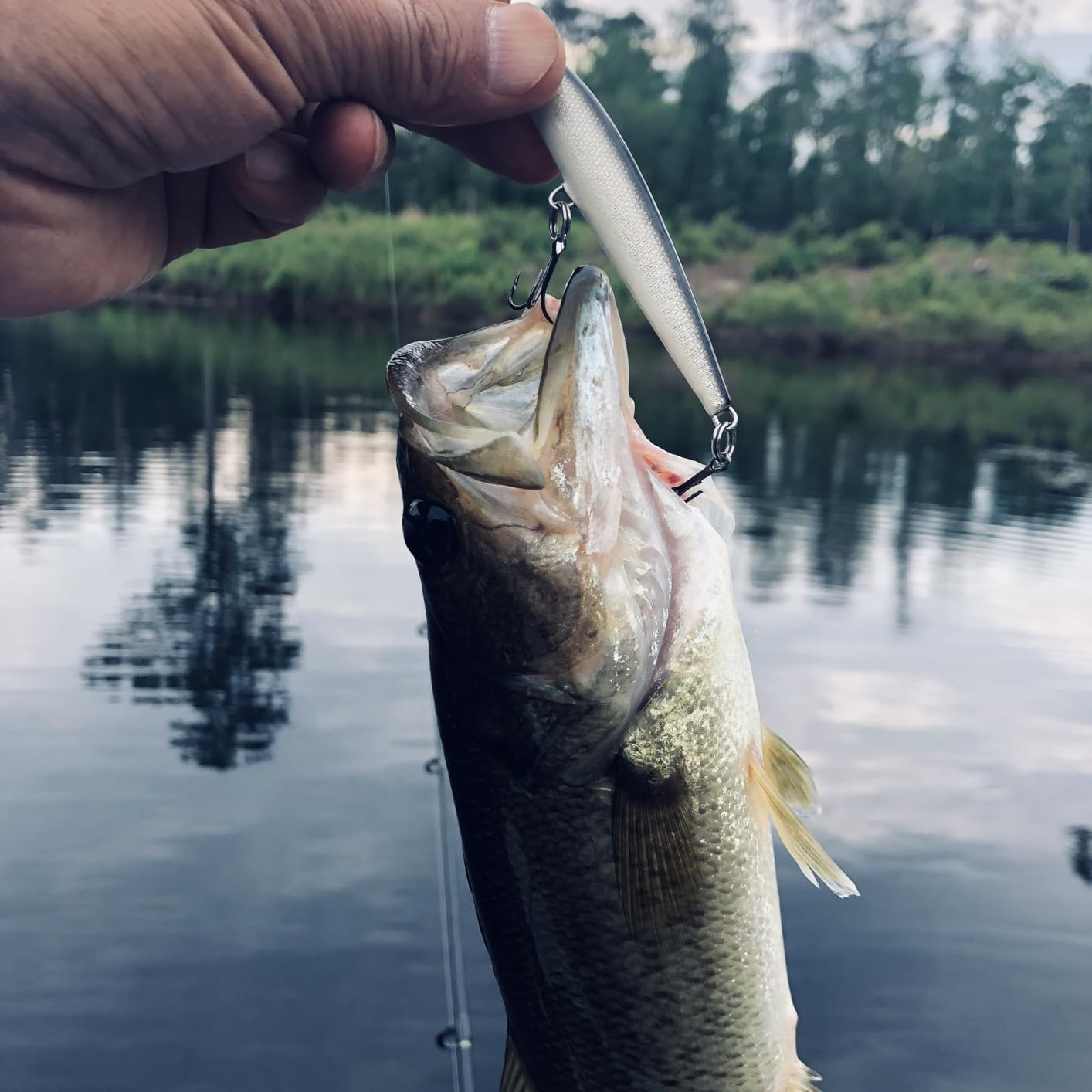 Yo-Zuri Pins Minnow Floating Diver Lure customer photo 2