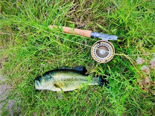 Keitech Swing Impact Soft Plastic Swimbait customer photo 1